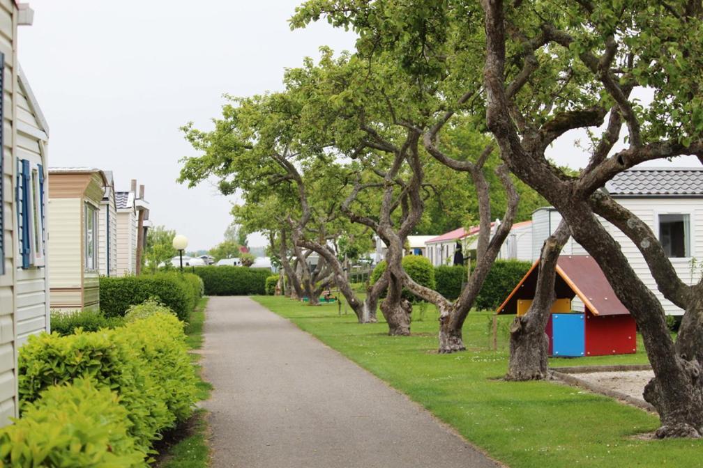 אוסטקאפלה Siblu Camping In De Bongerd מראה חיצוני תמונה